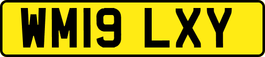 WM19LXY