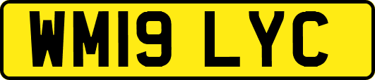 WM19LYC