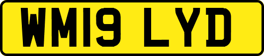 WM19LYD