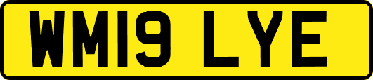 WM19LYE