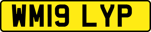 WM19LYP