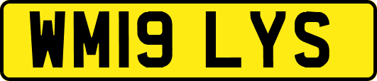 WM19LYS