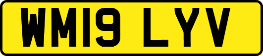 WM19LYV