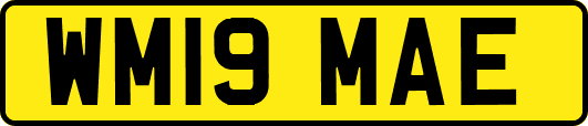 WM19MAE
