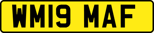 WM19MAF