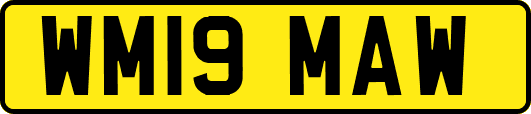WM19MAW
