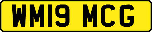 WM19MCG