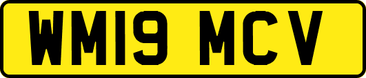WM19MCV