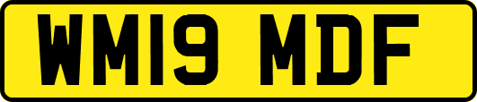 WM19MDF