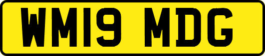 WM19MDG