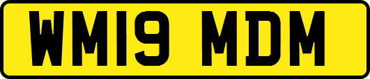 WM19MDM