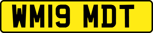 WM19MDT