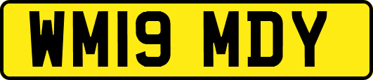 WM19MDY