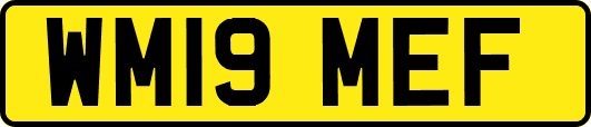 WM19MEF
