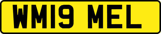 WM19MEL