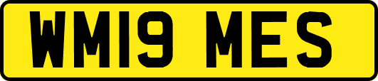 WM19MES