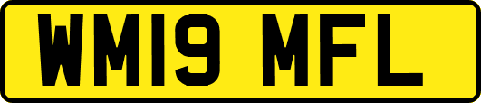 WM19MFL