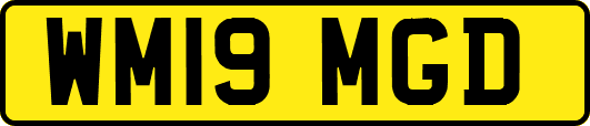 WM19MGD