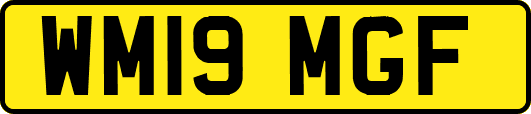 WM19MGF
