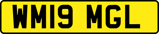 WM19MGL