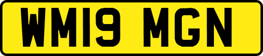 WM19MGN