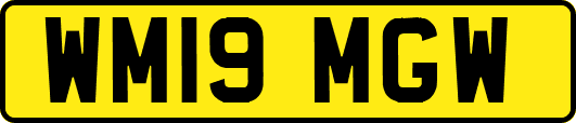 WM19MGW