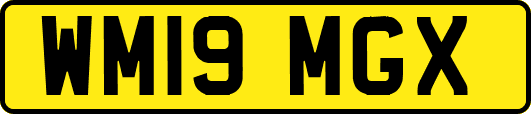 WM19MGX