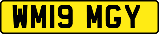 WM19MGY