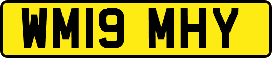 WM19MHY
