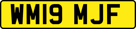 WM19MJF