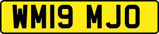 WM19MJO