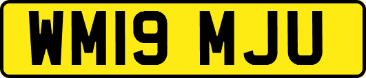WM19MJU