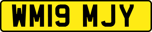 WM19MJY