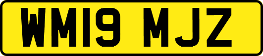 WM19MJZ