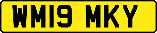 WM19MKY