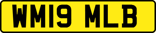 WM19MLB