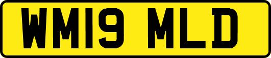 WM19MLD