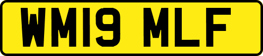 WM19MLF