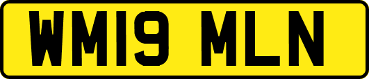 WM19MLN