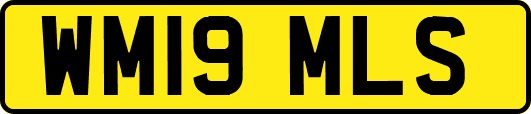 WM19MLS
