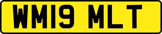 WM19MLT