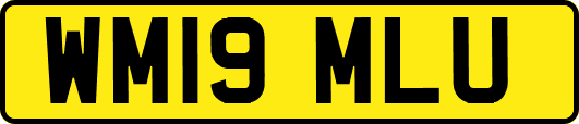 WM19MLU
