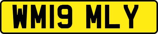 WM19MLY
