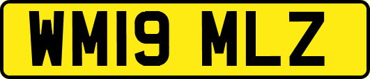 WM19MLZ