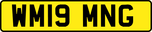 WM19MNG