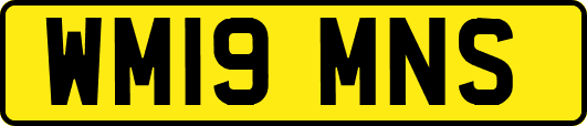 WM19MNS