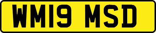 WM19MSD