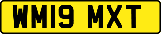 WM19MXT