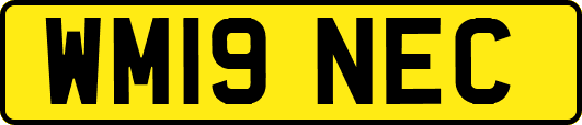 WM19NEC