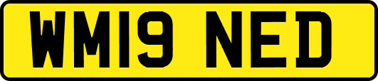 WM19NED